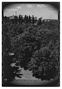 Black Forest and views from roof - Gertrude Sands