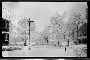 Snowy scene