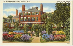 Old New England garden, Salem, Mass.