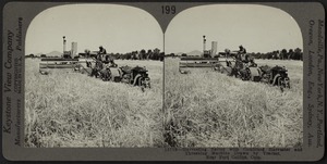 Harvesting barley with tractor