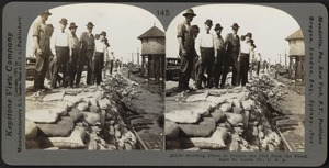 Building dikes to protect the city from the flood, East St. Louis, June, 1903