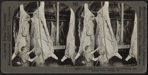 The last process in dressing beef, Chicago, Illinois