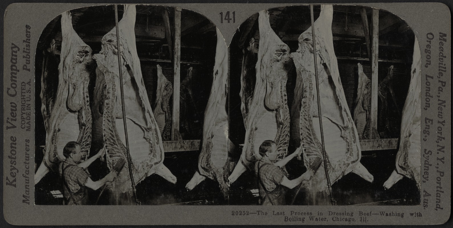 The last process in dressing beef, Chicago, Illinois