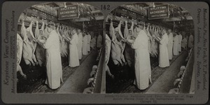 Splitting backbones and final inspection of hogs- packing house, Chicago, Ill.