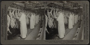 Splitting backbones and final inspection of hogs- packing house, Chicago, Ill.