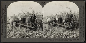A corn harvester at work in Indiana
