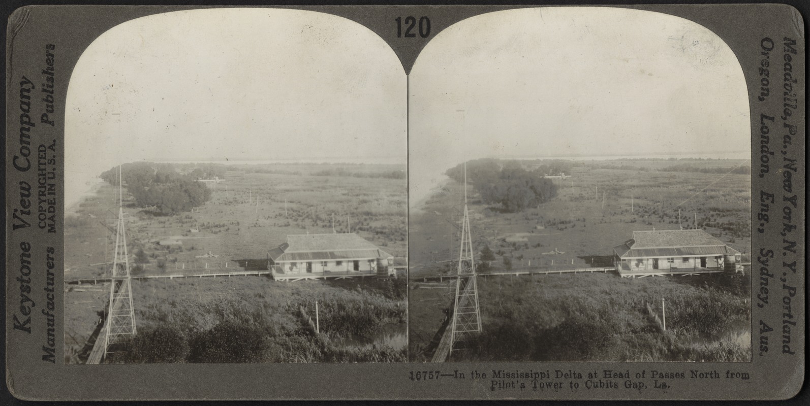 The delta of the Mississippi River, Louisiana