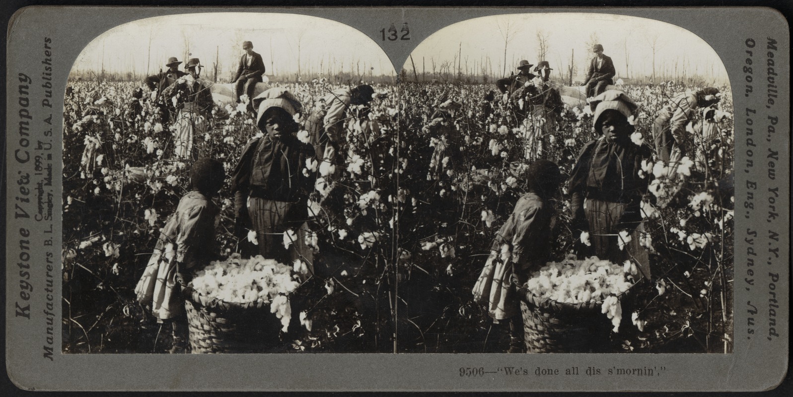 "We'se done all dis's morning'," -Picking cotton on a Mississippi plantation.