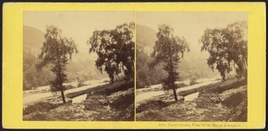 Llangollen, view on the Dee at Llantyfillio