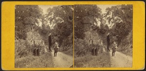 Ireland - ruined gatehouse, woodlands, Co. Dublin