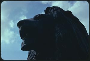 Lion statue, Trafalgar Square, London