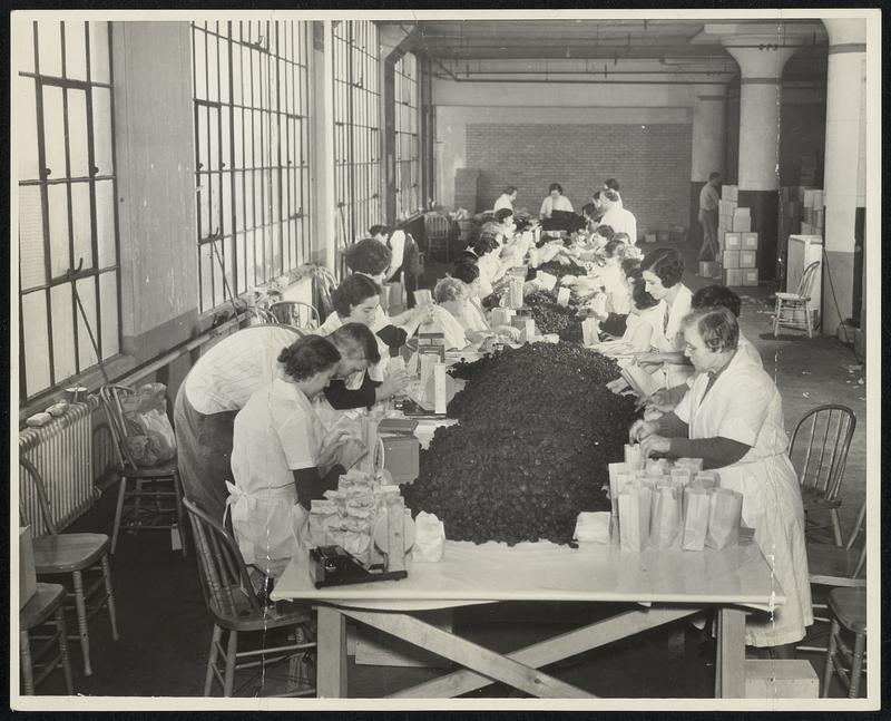 ERA workers packaging hundreds of pounds of prunes at the Boston Army base of distribution to needy families.