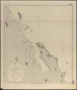 North America, west coast, lower California, western shore of the Gulf of California, from Pulpito Point (San Basilio Bay) to San Marcos Island, including Concepcion Bay