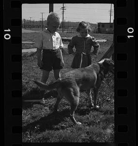 Two children playing with dog