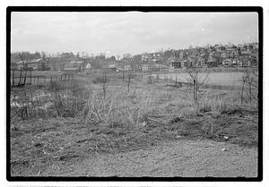 Chandler's Pond