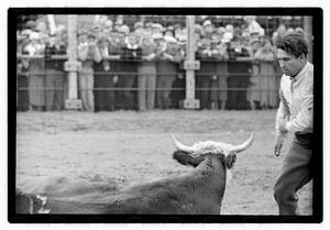 Brockton Fair