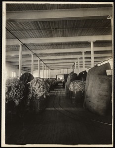 L.S.2 wool storehouse. View in wool sorting room