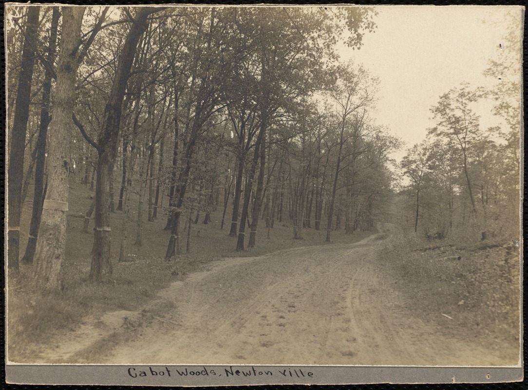 Villages of Newton, MA. Newtonville. Cabot Woods Newtonville - Digital ...