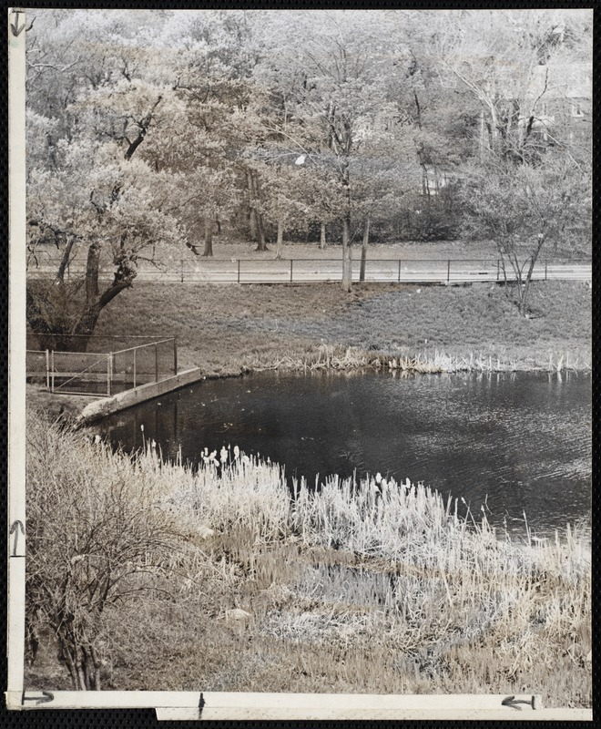 Villages of Newton, MA. Newtonville. Bullough's Pond, Newtonville