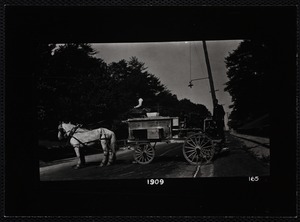 Forestry Department. Newton, MA. Forestry - sprayer