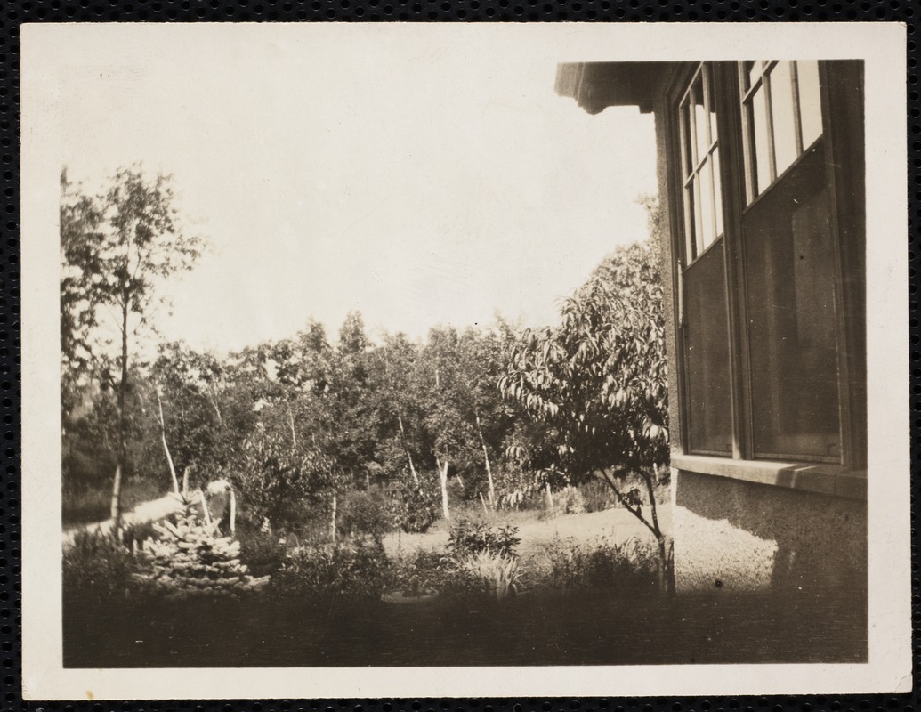 Houses. Newton, MA. Newton Highlands house backyard Digital