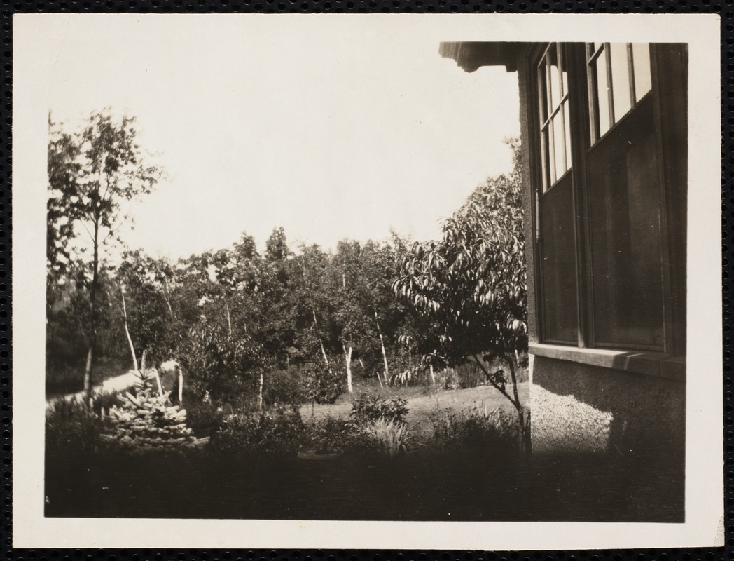 Houses. Newton, MA. Yard Newton Highlands Digital Commonwealth