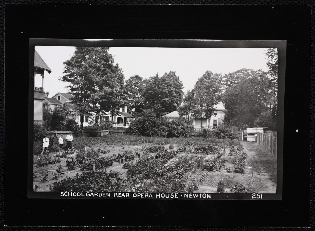 Houses. Newton, MA. School garden, rear opera house