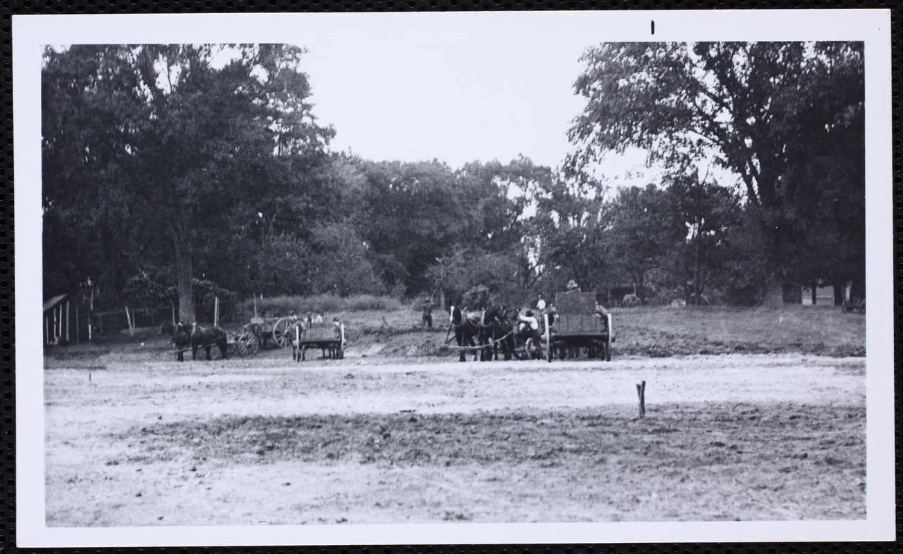 Houses. Newton, MA. Horse-drawn wagons