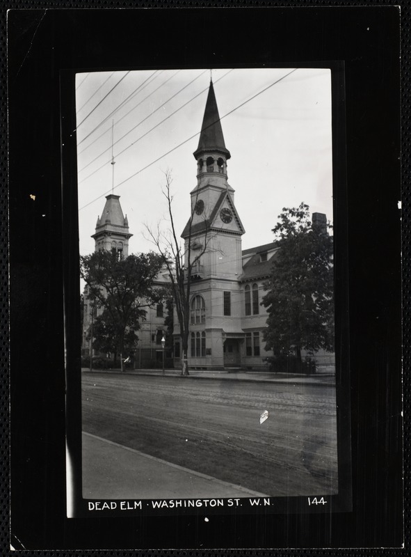 Villages of Newton, MA. West Newton. Dead elm, Washington St. Digital