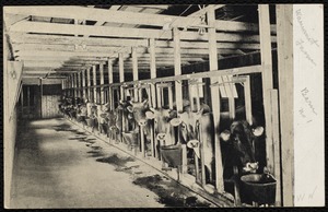 Villages of Newton, MA. West Newton. Interior of barn No. 1 at Wauwinet Farm. Commonwealth Ave. (postcard)