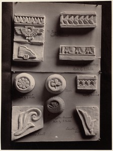 Nine small examples of modeling: The winged globe. Egyptian ornament, Roman, egg-and-dart, moulding made by G. Childs. Roman ornament made by G. Childs. Clover. Roman ornament made by R. Abbott. Lotus scroll. Lotus, Egyptian ornament made by G. Childs. Acanthus husk