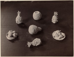 Seven examples of modelling: Pineapples, apple, pears, strawberries, etc. (Prescott & Mather, class II)