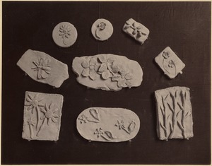 Nine small models of flowers & branches (clay modeling from a kindergarten)