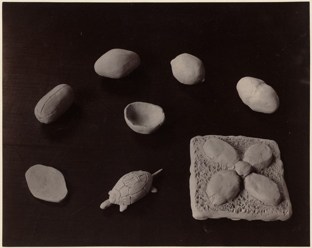 Eight examples of modelling: Potatoes, bowl, turtle, flower design, etc. (Cutler, no. 5)