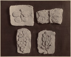 Four small models: Butterflies & branches with fruit (kindergarten)