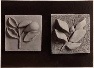 Two small examples of modeling: Fruit & leaves