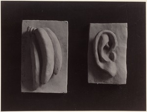 Two small examples of modeling: Bananas & ear