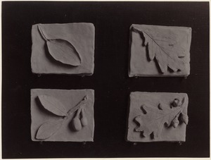 Four small examples of modeling: Leaves & acrons [sic] (Baldwin, class 3, Phillips District)
