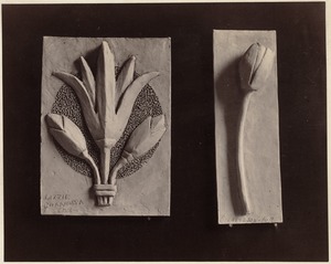 Two clay models of lotus & water lily. Hancock School, class III