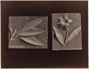 Two small examples of modeling: Leaves & berries and flowers