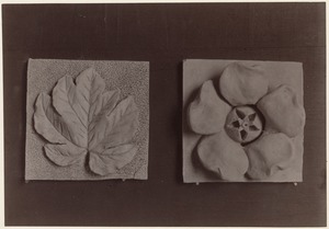 Two examples of modeling: Leaves & floral design