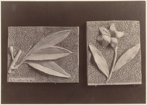 Two small examples of modeling: Leaves & berries and flowers