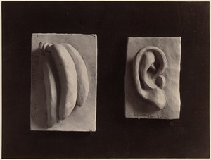 Two small examples of modeling: Bananas & ear