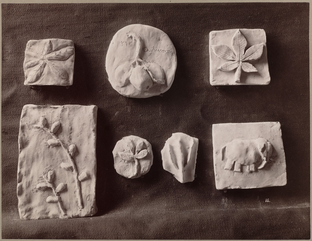 Examples of clay modeling at a Boston public school Digital Commonwealth