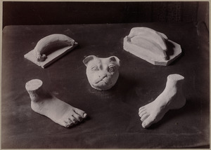 Examples of clay modeling at a Boston public school