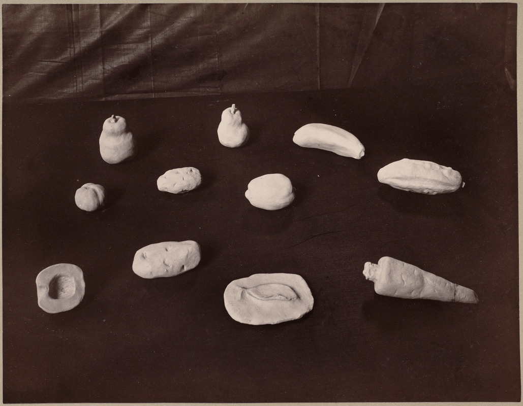 Clay work from primary school. Class II., Phillips District.