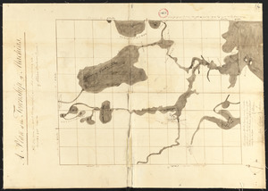 Plan of Machias, ME, made by William Chaloner, dated December 1795.