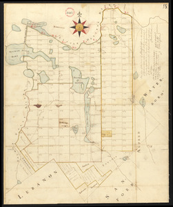 Plan of Shapleigh surveyed by Daniel Sewall, dated 1794-5.