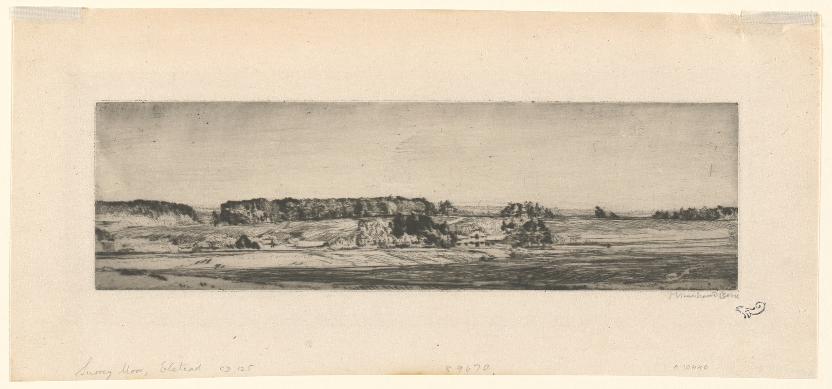 Surrey Moor, Elstead