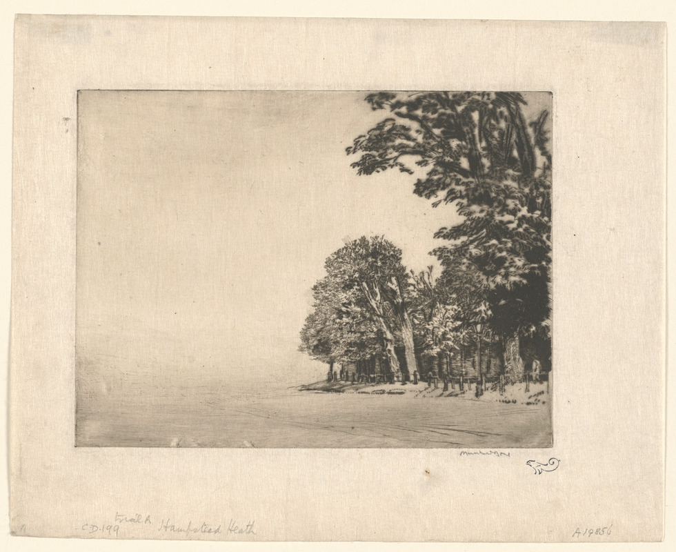 Hampstead Heath